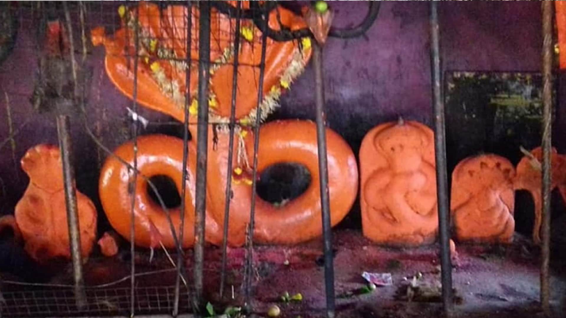 नागद्वारी में स्थित नागदेवता की प्रतिमाएं।