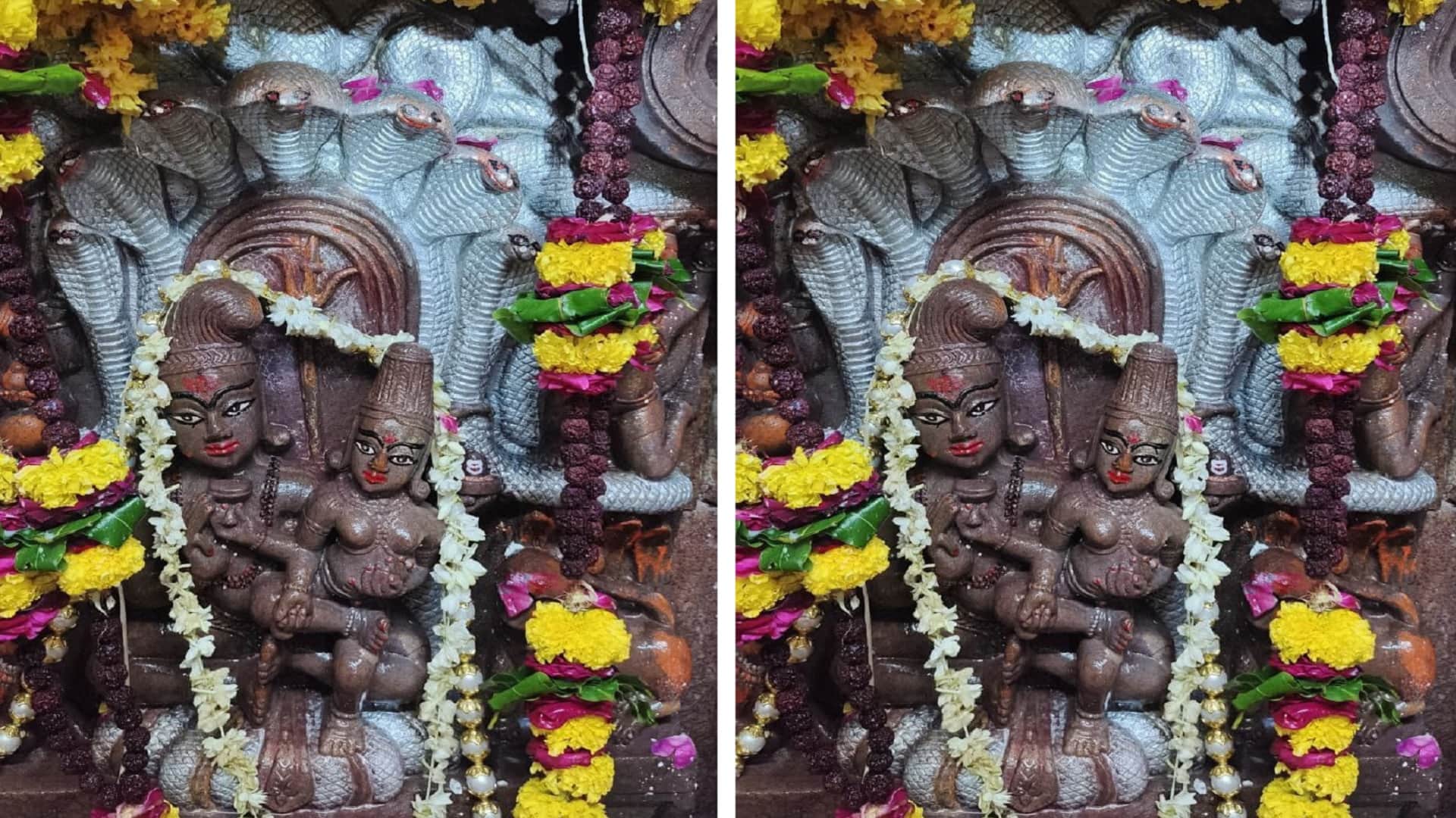 Naag Panchami 2022: Nag temple of Ujjain will open for one day at 12 o'clock on Monday night