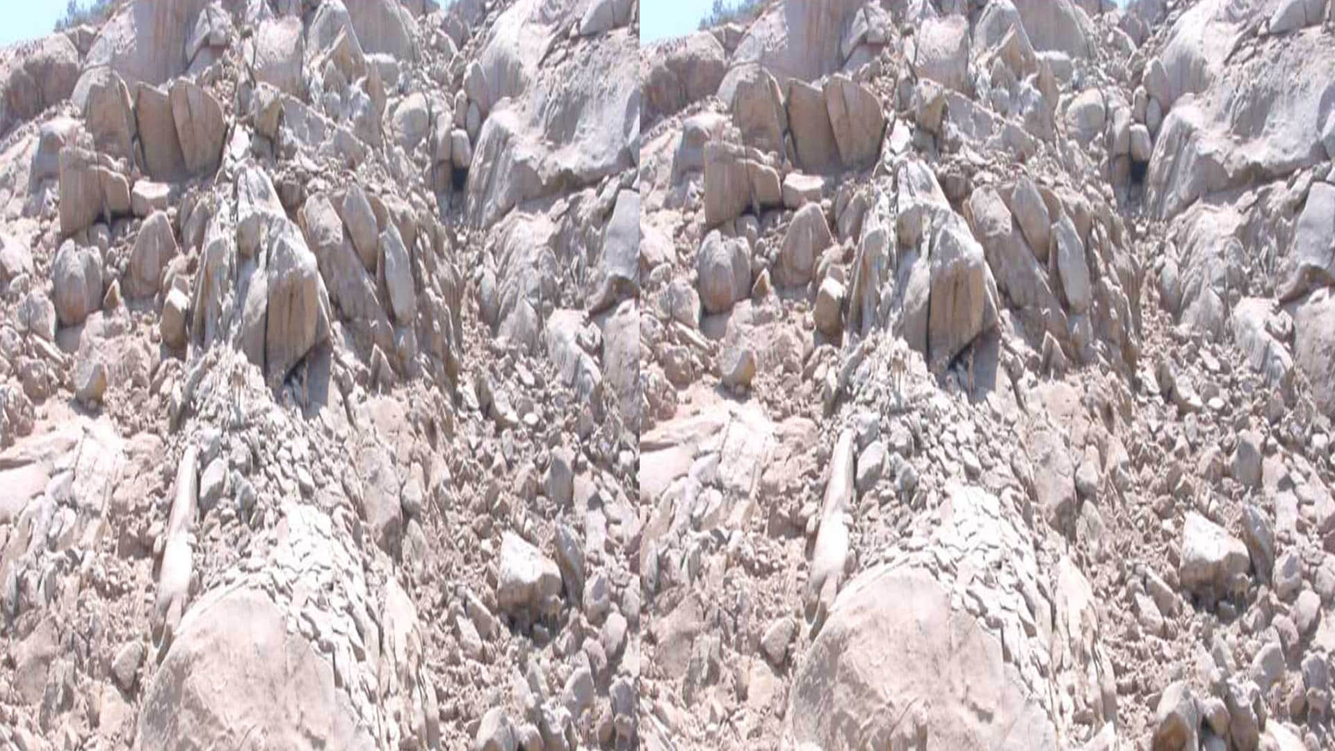 Optical Illusion Quiz With Answers Find Out Hidden Deer From Images Check Your Brain IQ