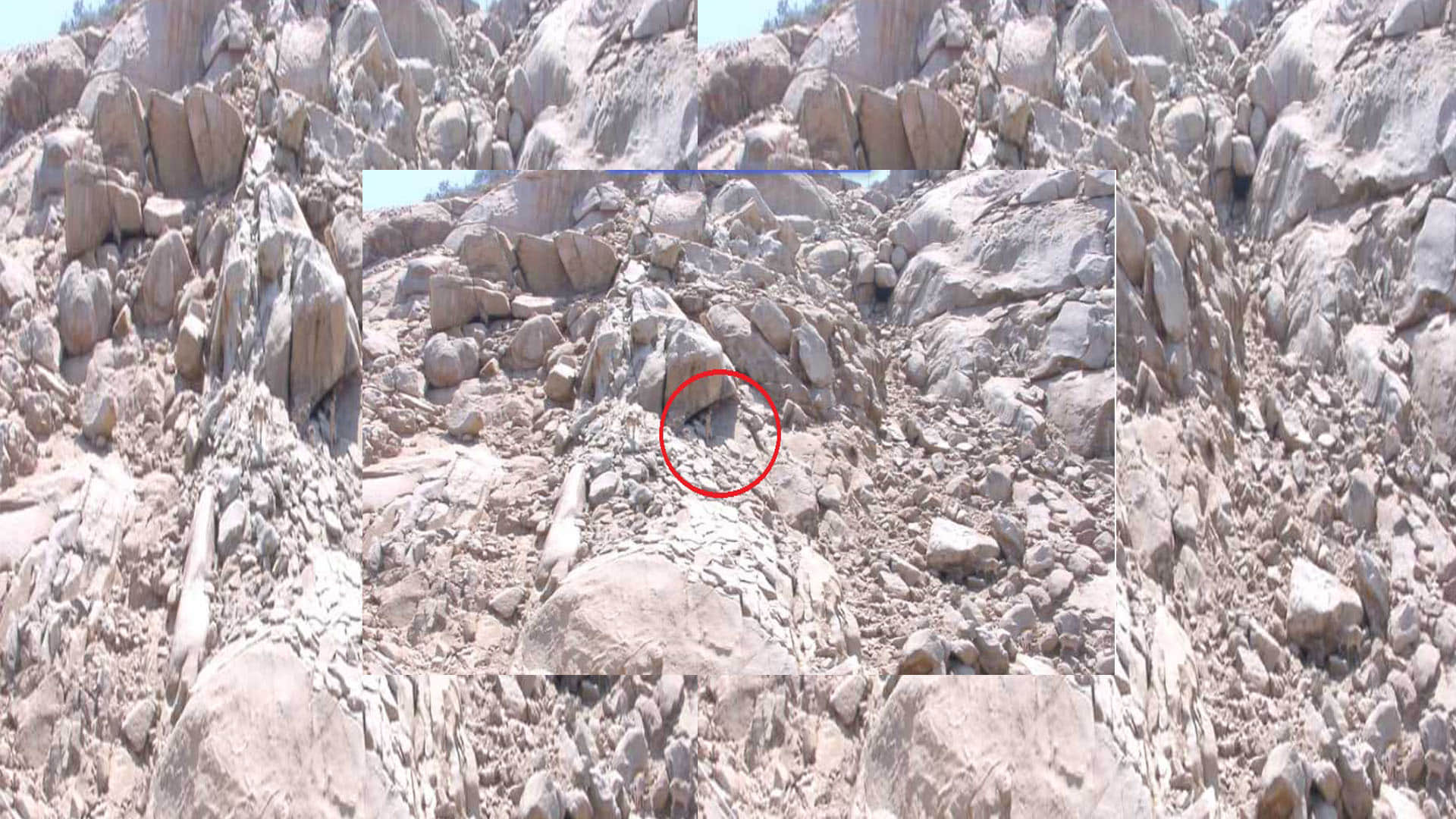 Optical Illusion Quiz With Answers Find Out Hidden Deer From Images Check Your Brain IQ