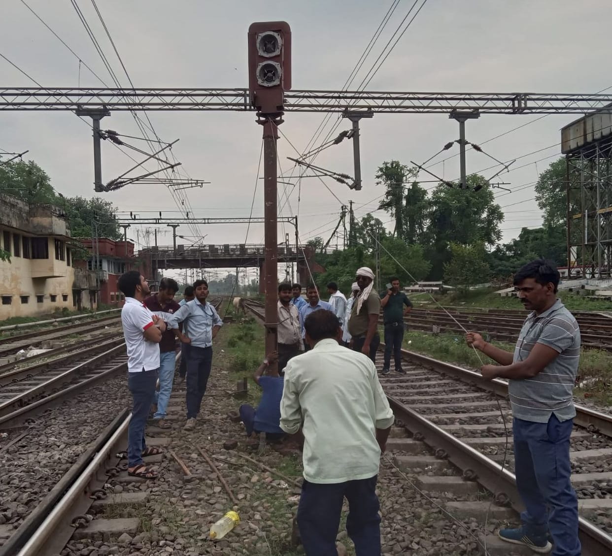 Cattle downline traffic in front of goods train disrupted