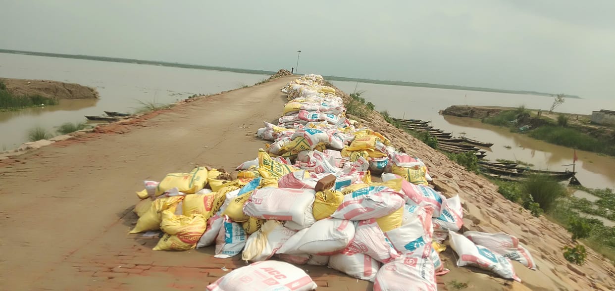 Water filled in the fields, Parwal's crop was ruined