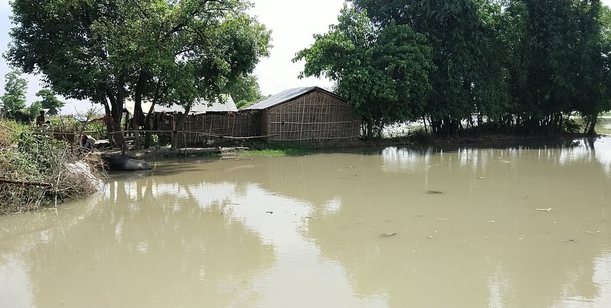 Saryu crossed the danger mark