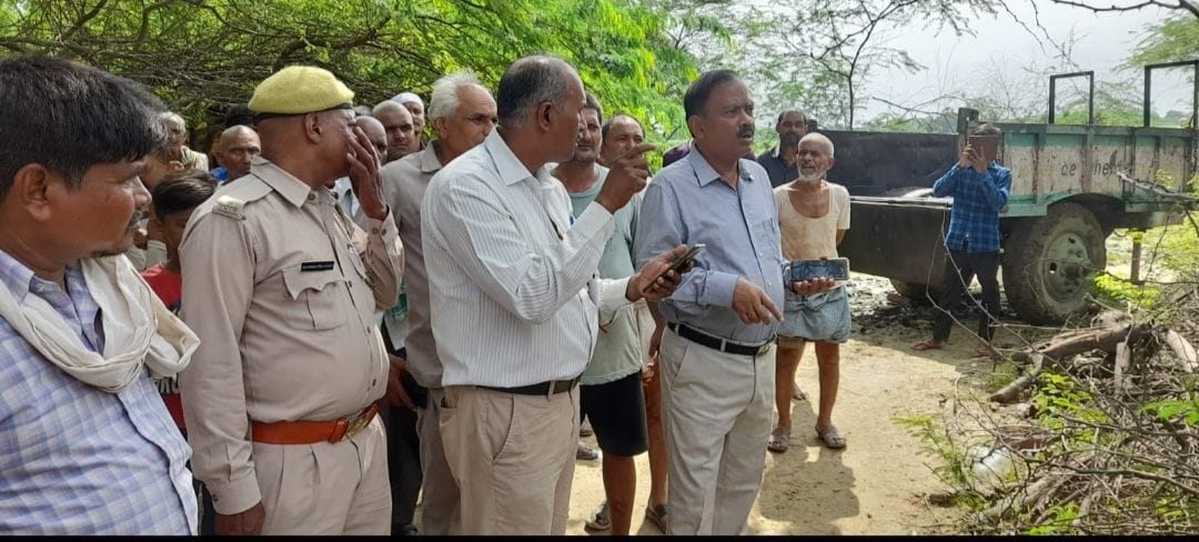 kanpur dehat: 55 sheep died due to attack by wild dogs, SDM reached the spot and investigated