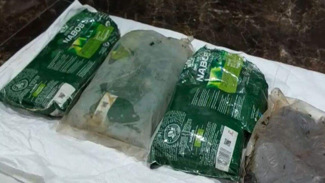 59 charas packets found washed ashore in two coastal districts in Gujarat