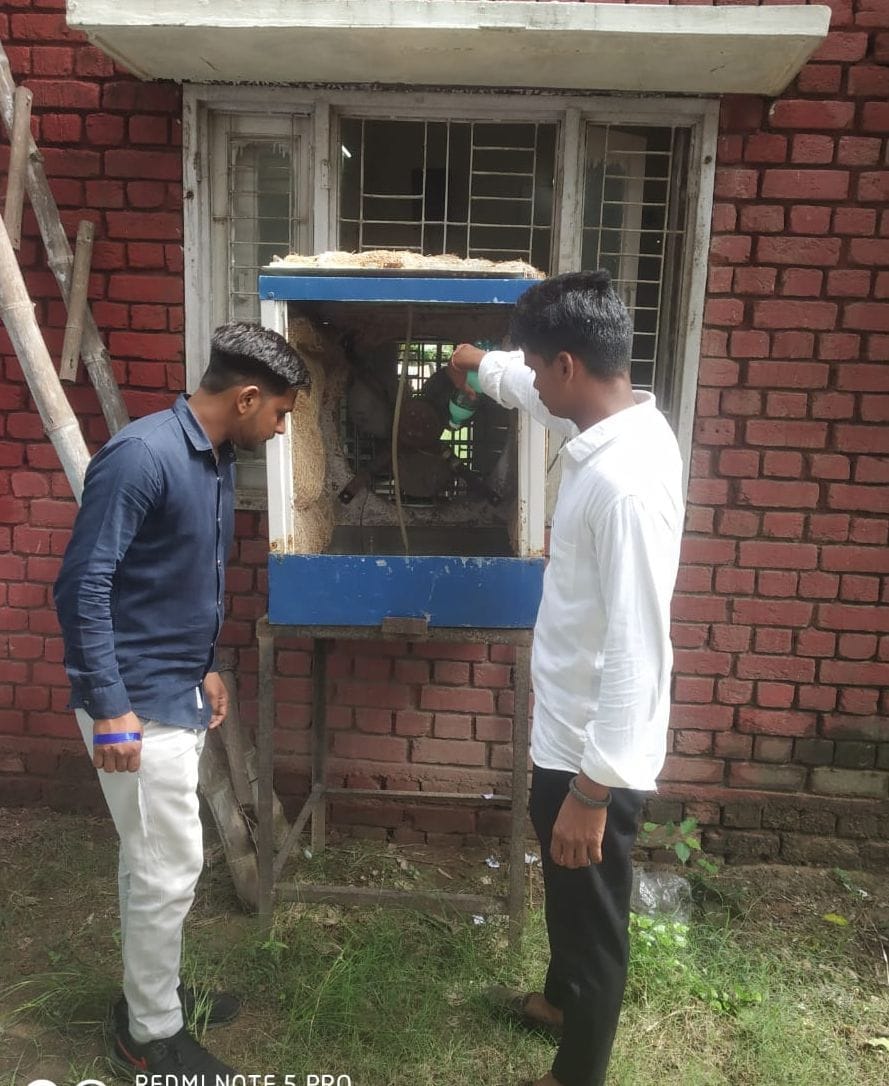 Dengue larva found in Model Sanskriti School and Bal Bhawan, notice issued