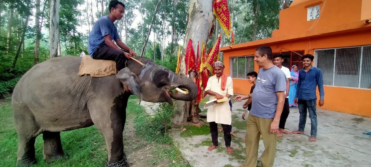 Elephant child reached temple on birthday
