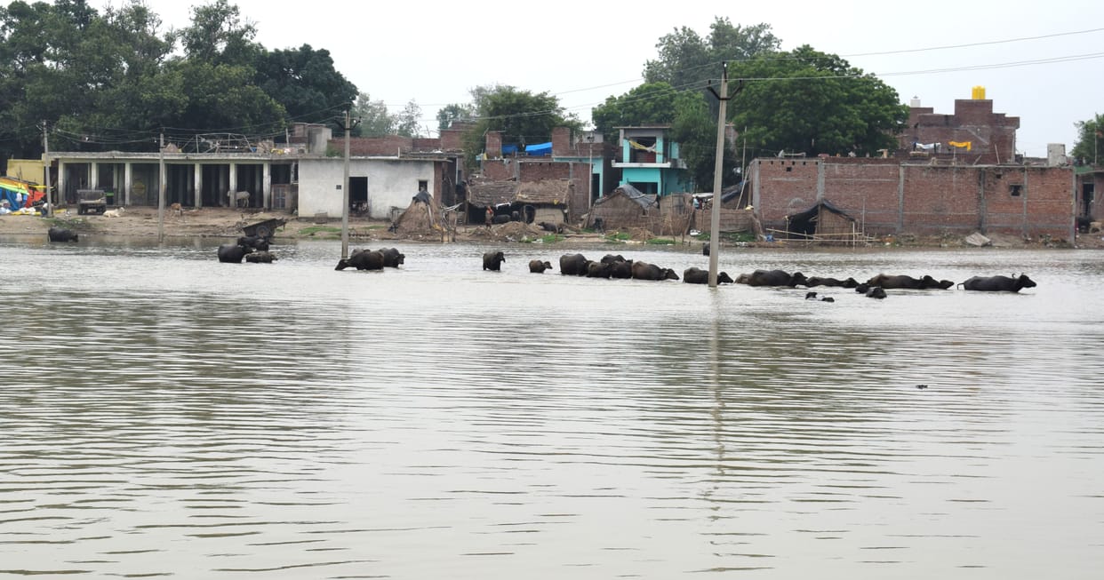 Due to the rise in the water level of the Ganges, the fair at Lehra Ghat was removed