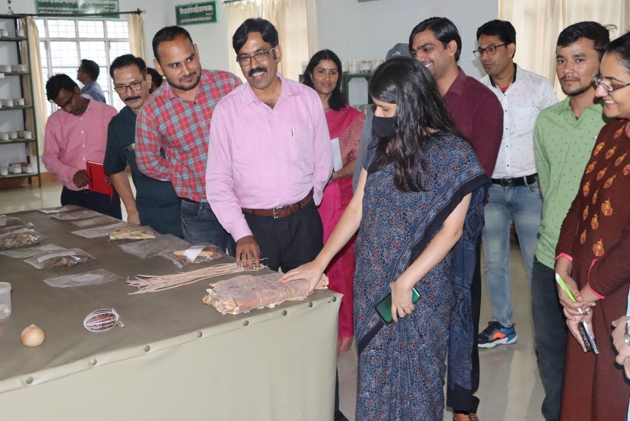 Inspection of CCRAS By Dm Almora