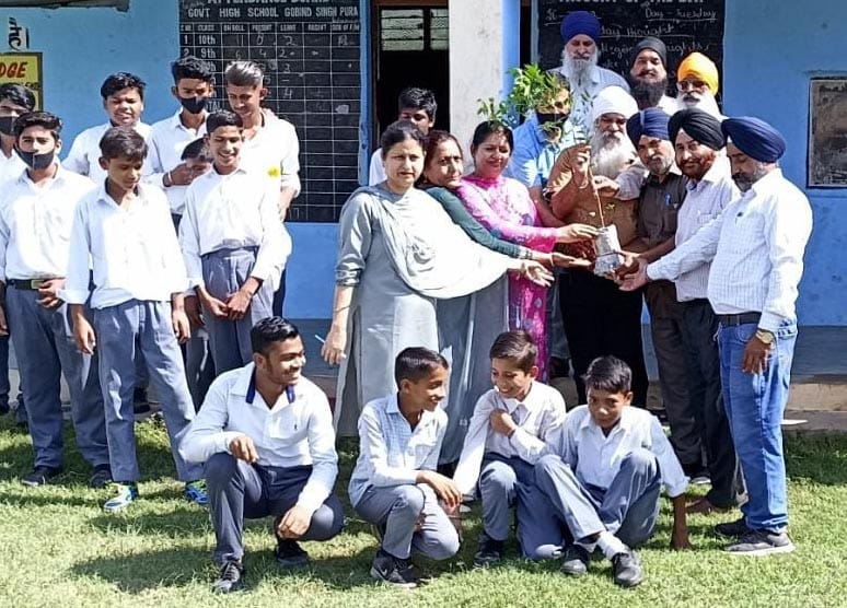 tree plantation