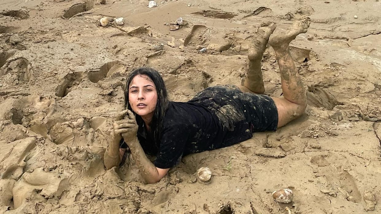 Shehnaaz Gill  shares mud bath pictures fans says Choti cute se Bacchi