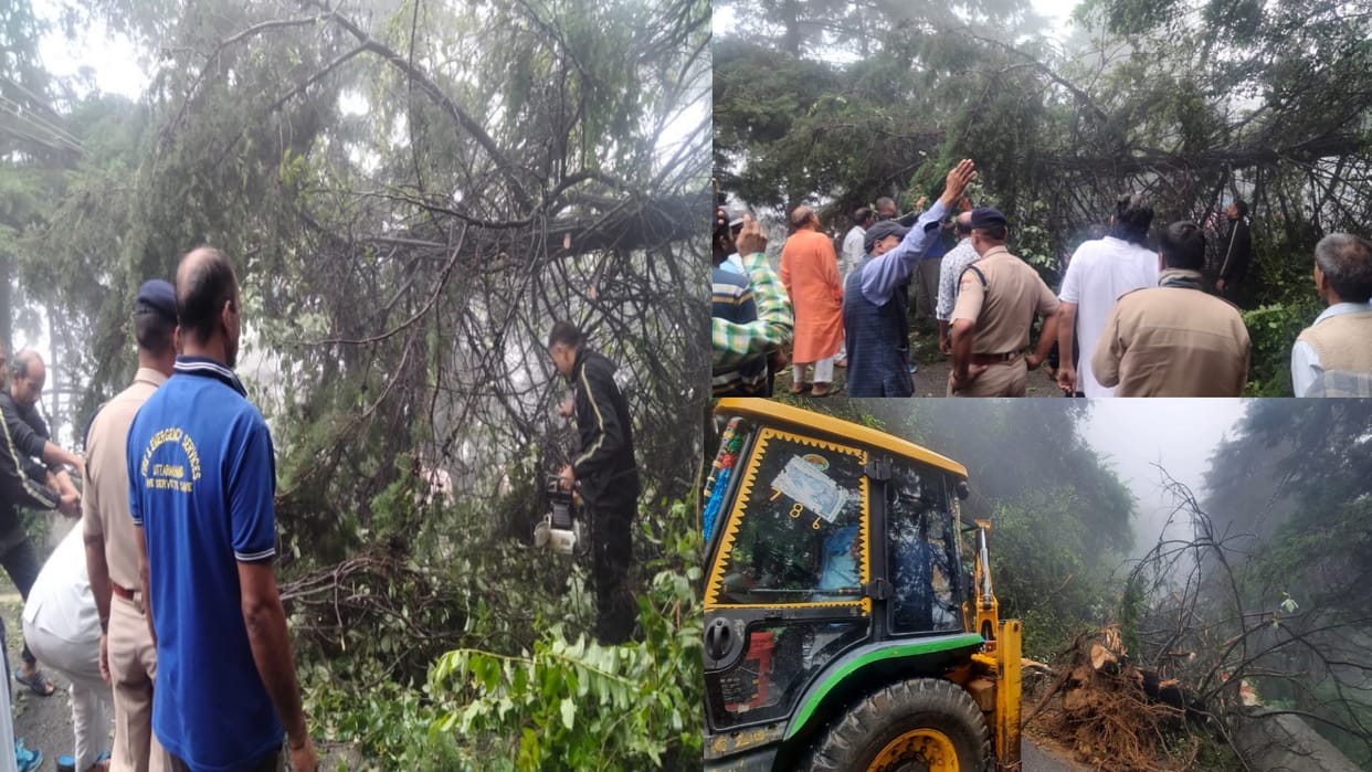 Weather Mussoorie-Doon road was closed for two hours due to felling of trees
