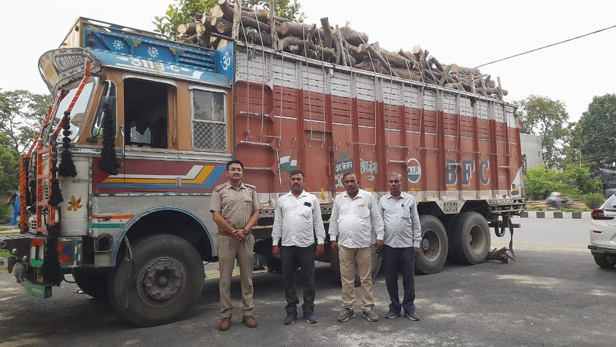 wood loaded truck caught