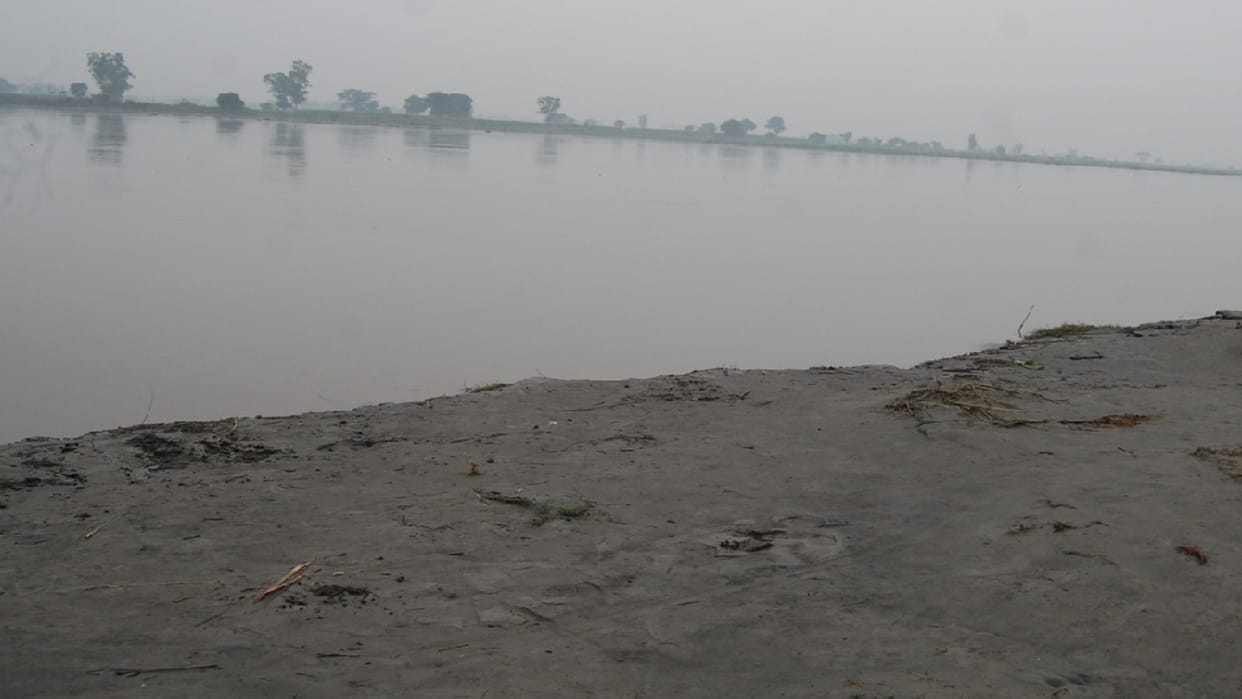 crops of farmers have been submerged due to the rise in water level in Yamuna and Hindon in Baghpat