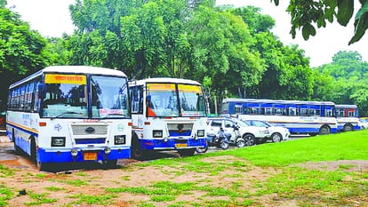 सेक्टर 17 पुलिस स्टेशन में खड़ी राजस्थान की बसें।