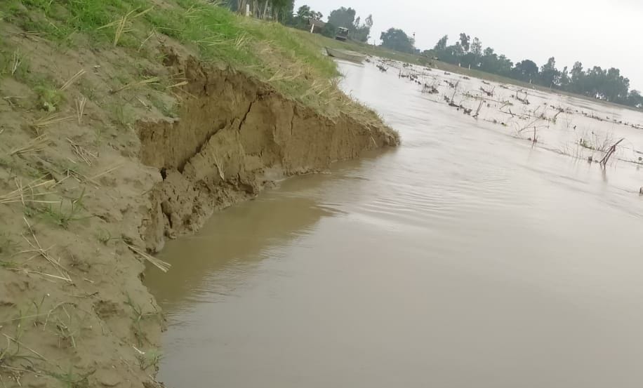 Hardoi, Increased water level of Ganga, harvesting started near Rameshwarpurwa