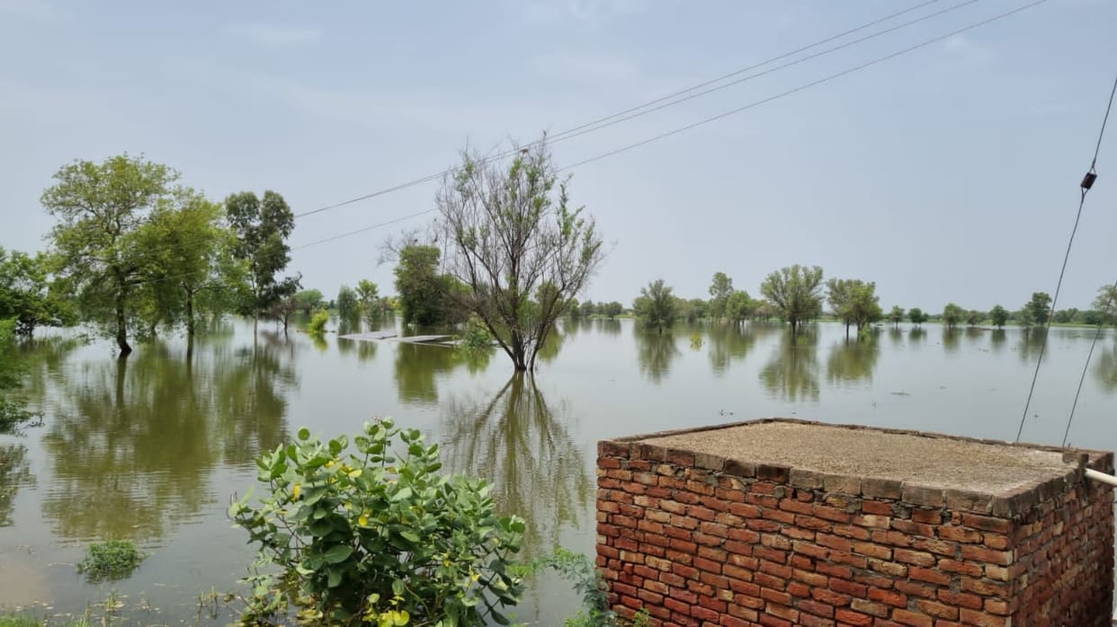 Thousands of acres of crops submerged, farmers worried