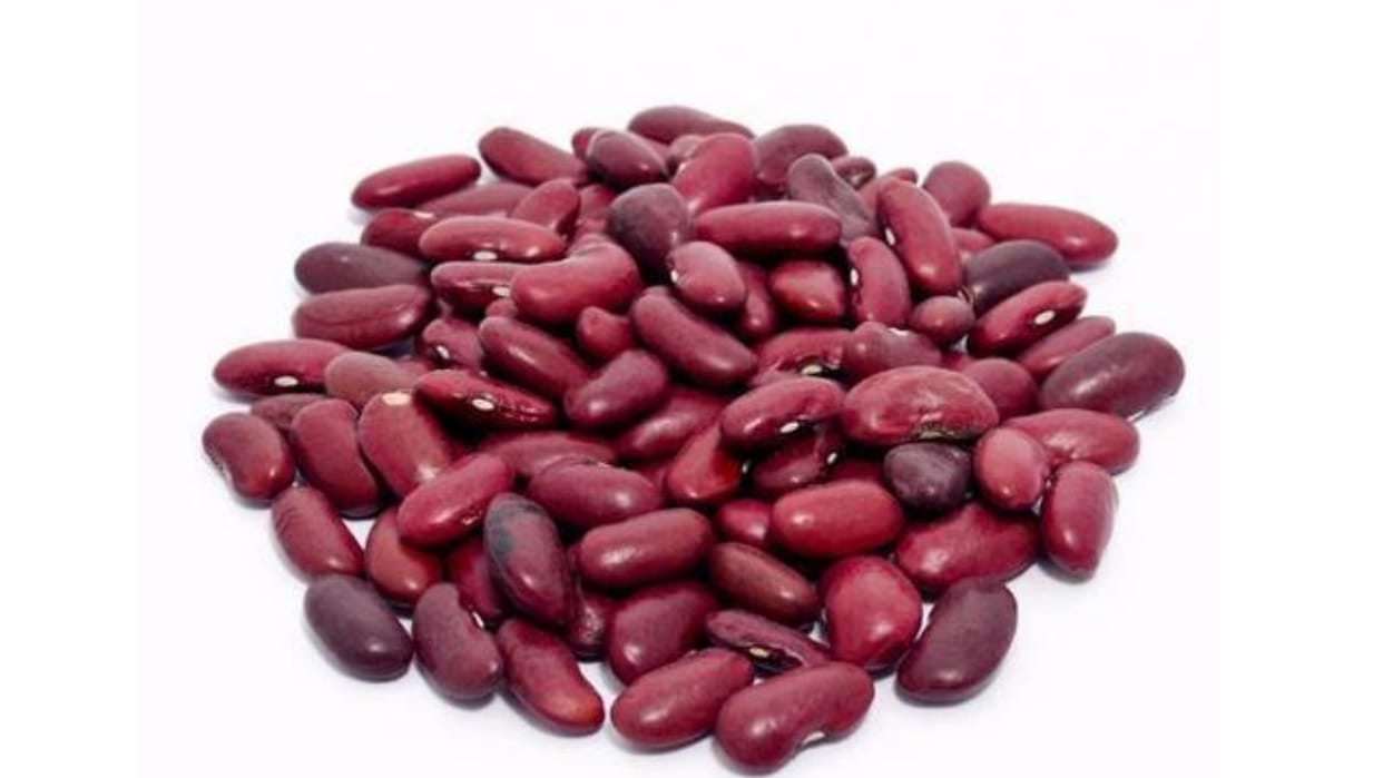 agriculture university palampur: himachali rajma recognized at international level