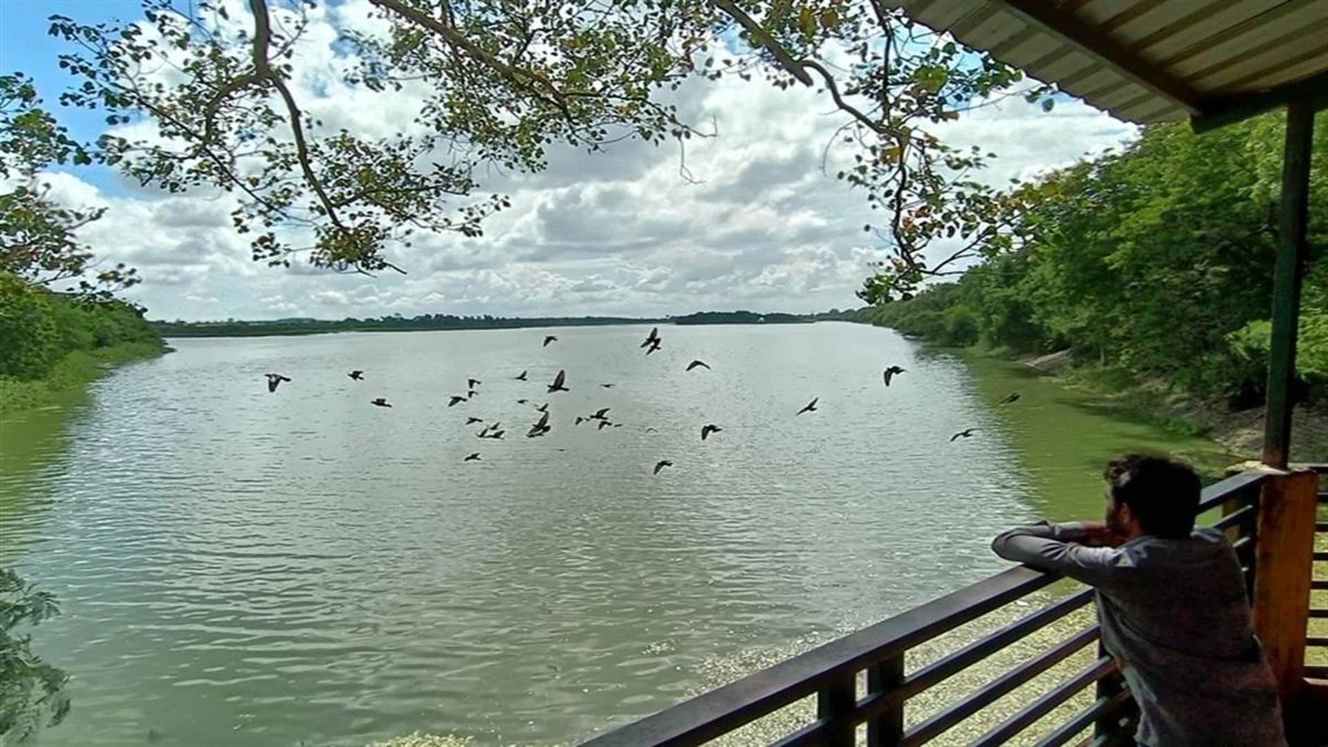 There will be heavy rain in Madhya Pradesh in the next three days, warning of heavy rain in many districts