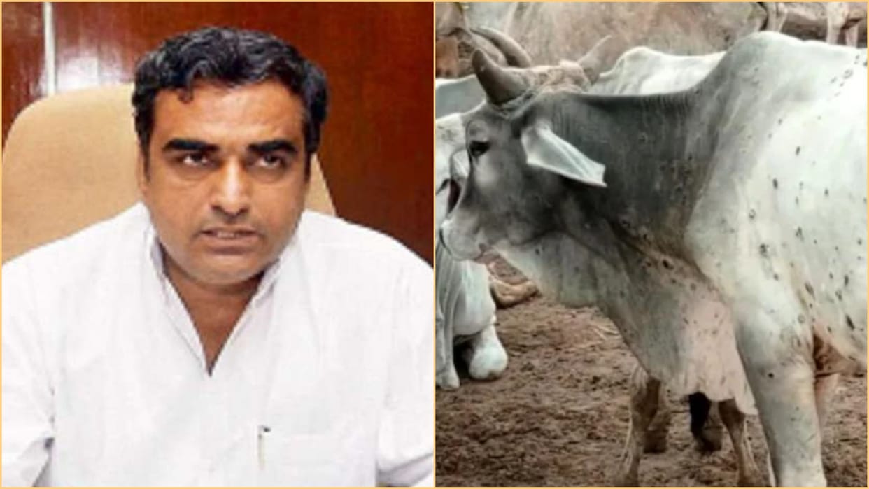 Animal Husbandry Minister Lalchand Kataria on Lumpy Skin Disease