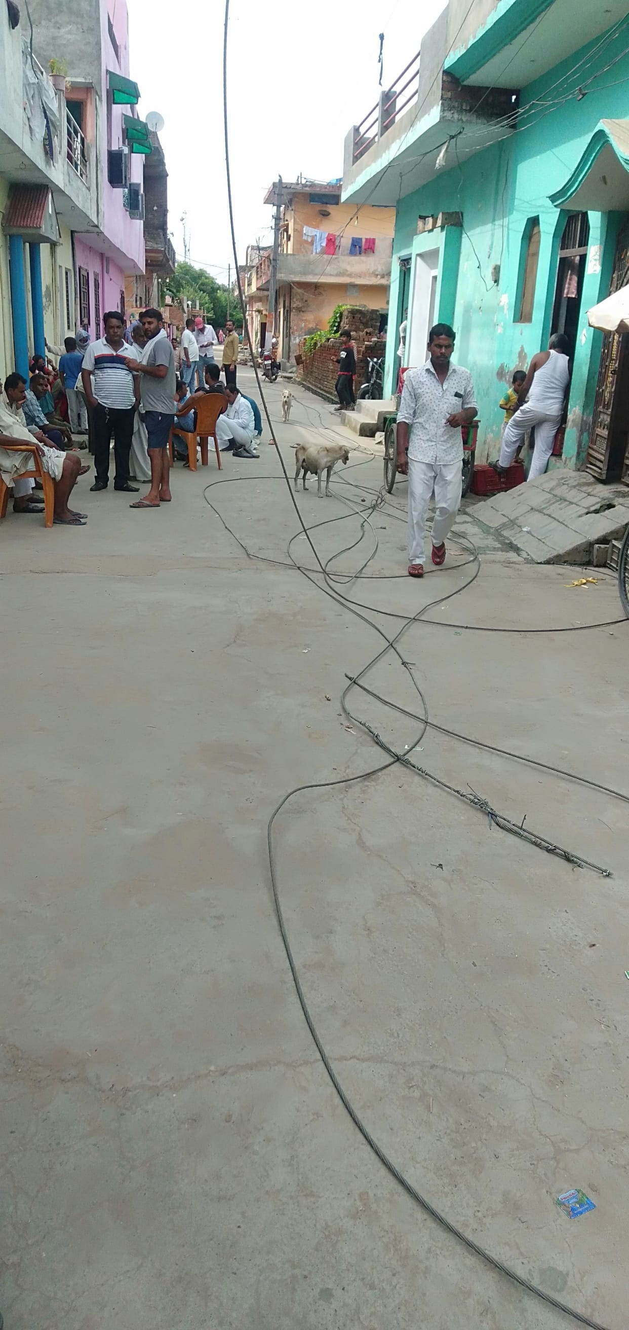 Shattered electric wire fell, students survived