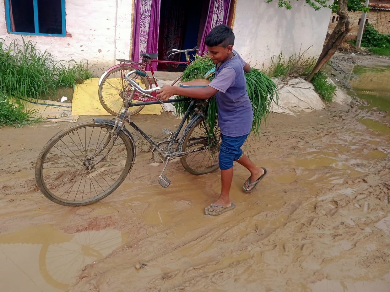 Not Nali -road cover with water