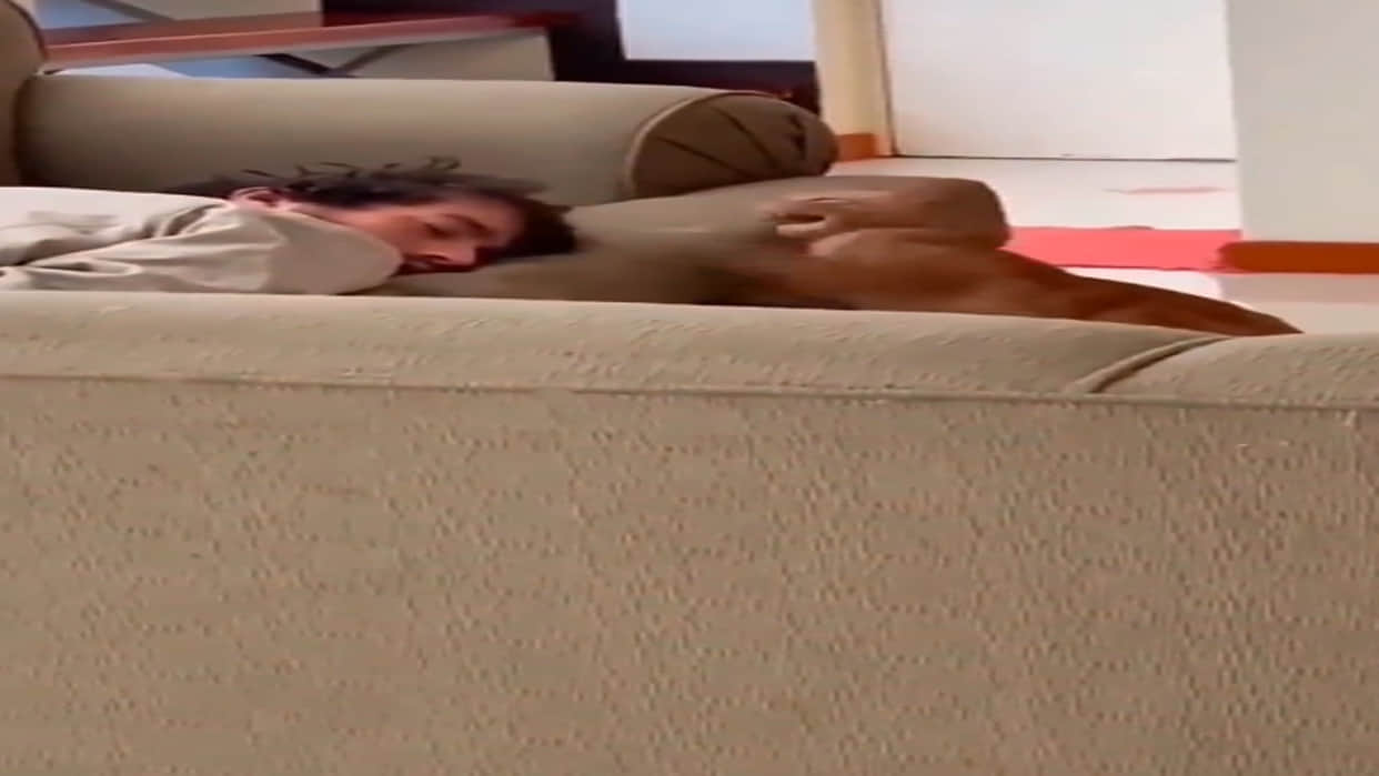 Funny Video Cat Slaps the Person Many Times Video Viral on Social Media