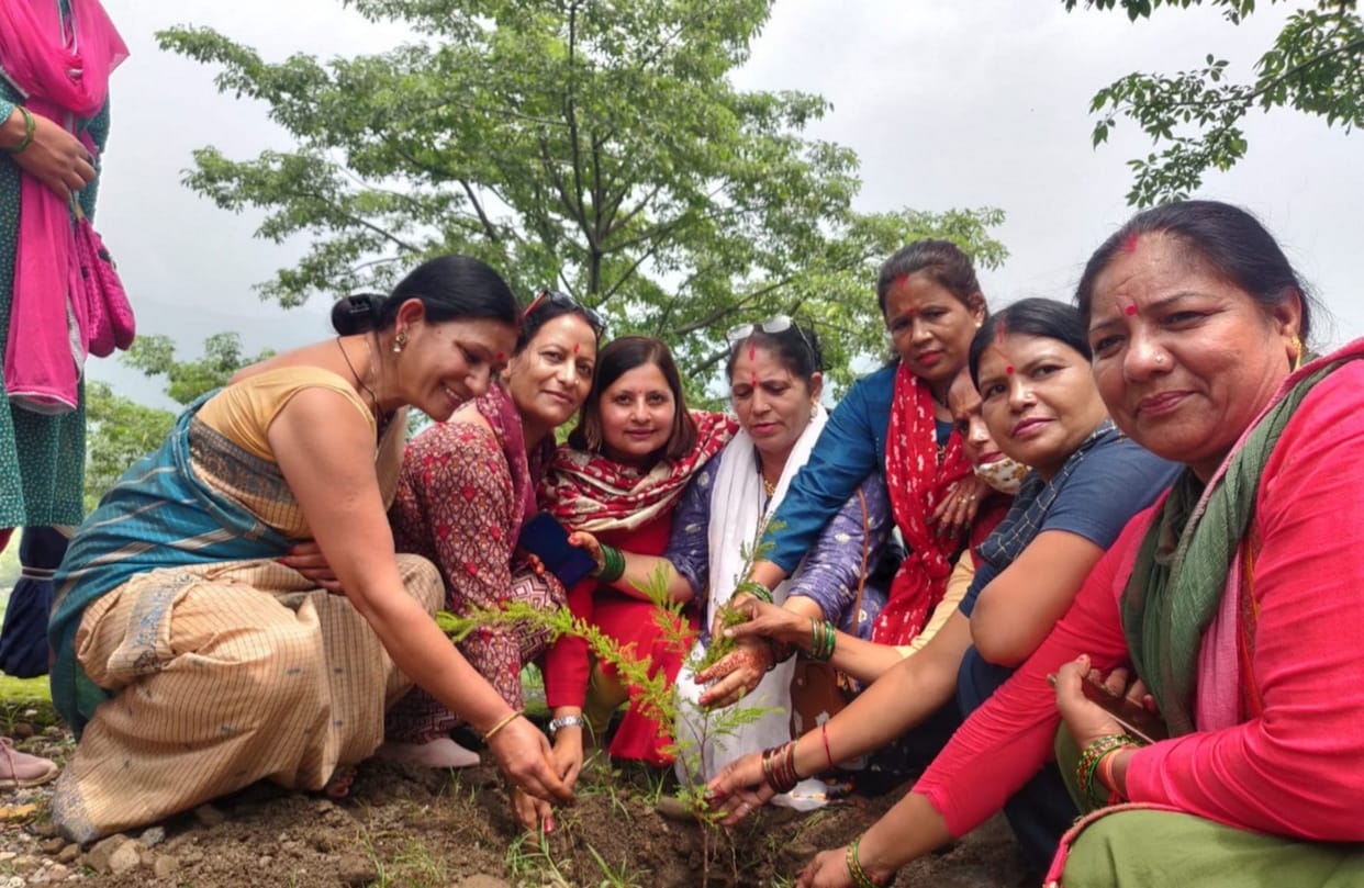 Azadi Ka Amrit Mahotsav Amar Ujala Dhad Initiatives planting three colour plants