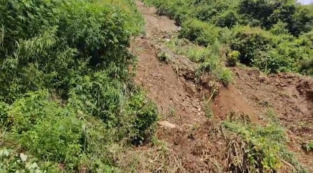 apple orchards of 300 plants destroyed in Svarog theog due to landslide