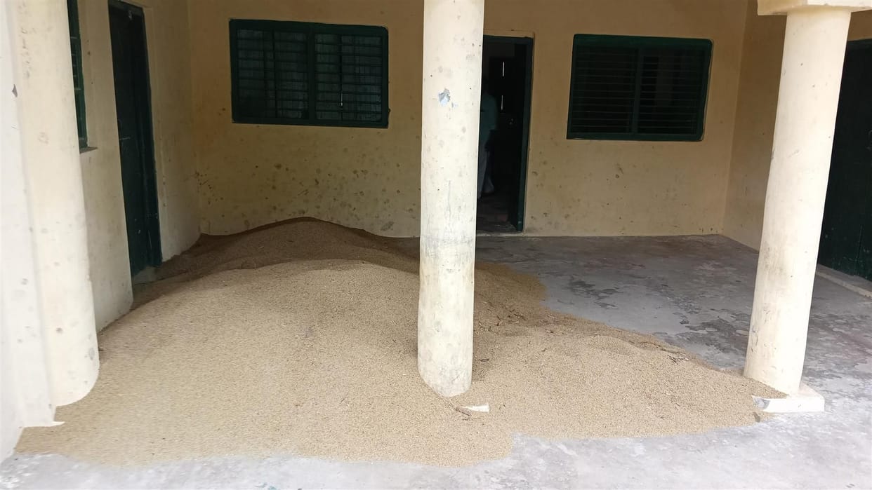 Hathras: Treatment of millet-maize in Ayurvedic hospital