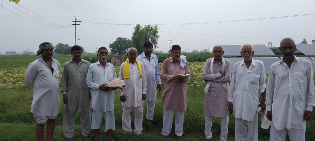 Rain-damaged kharif crop begins to fall