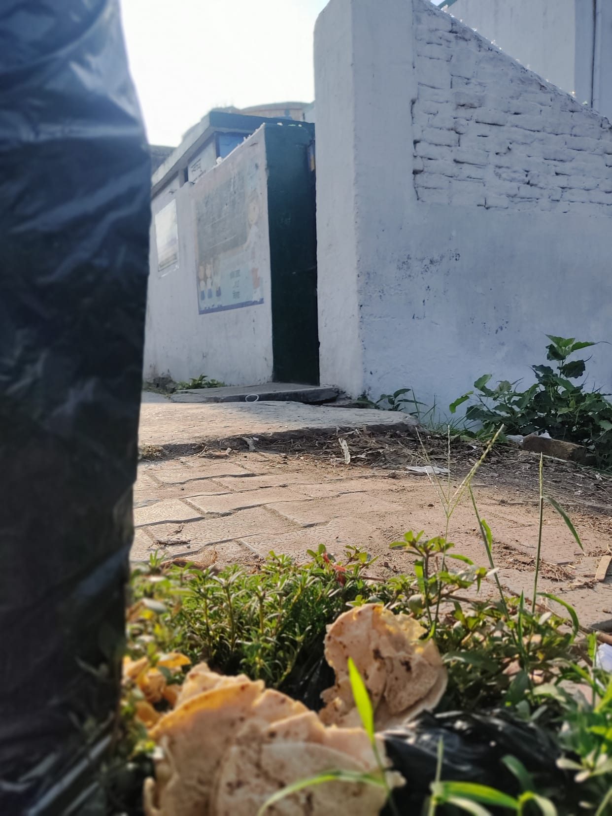Tender of NGO distributing mid-day meal will be canceled