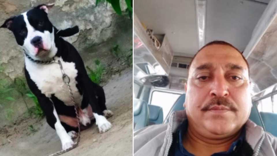 Pitbull dog attacked the owner in Ropar of Punjab