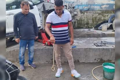 सांप का रेस्क्यू