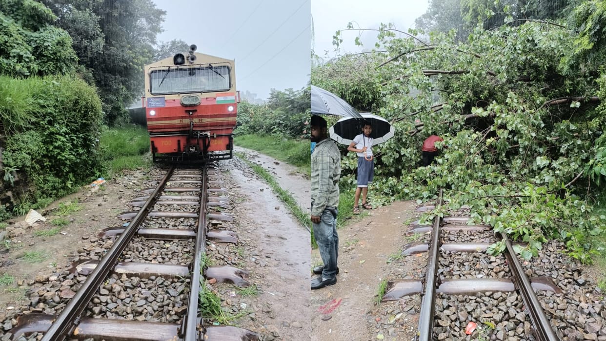 Tree fell on Kalka-Shimla railway track, two trains stopped