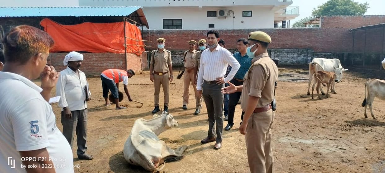 Stopped salary of careless doctor and cow shelter in-charge