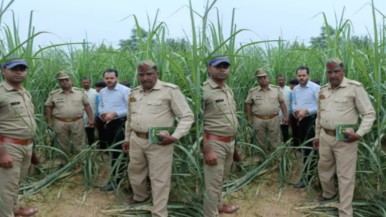 guldar takes away six-month-old girl from her mother in Bijnor today morning
