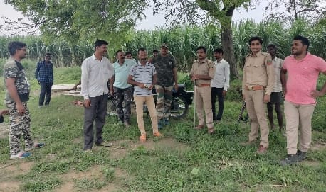Three teams engaged in driving out the tiger in Leelapur village of Mohammadi range