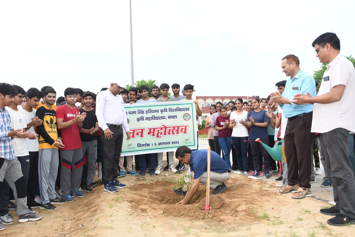 Don't forget to plant saplings, take care of them too: Naresh
