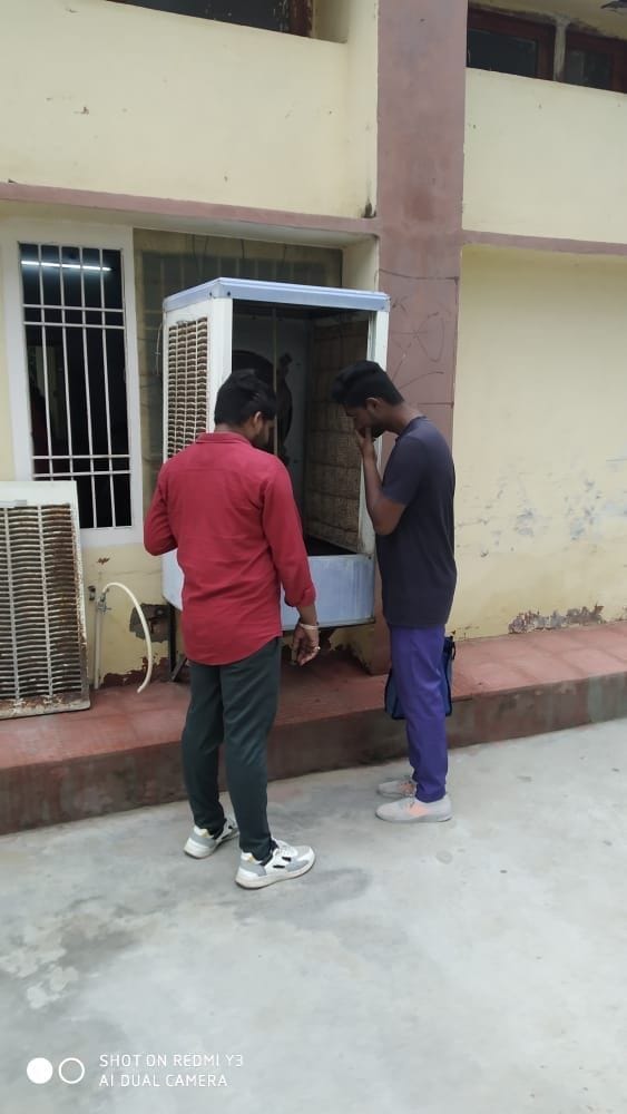 Dengue larva found at Government Girls School and MM College