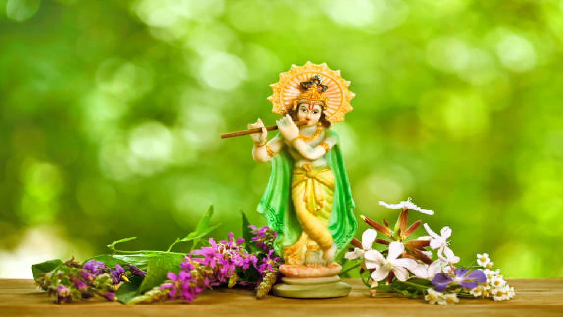 Janmashtami 2022 Puja Know Why Worship of Shri Krishna Janmashtami Is Incomplete Without Cucumber