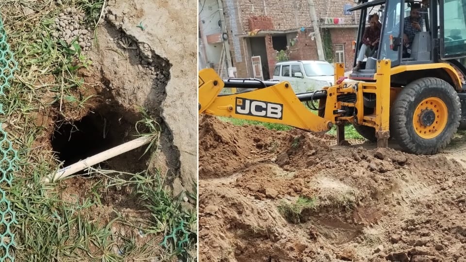 Puppies fell in borewell of tubewell in Kharar, Administration called NDRF team