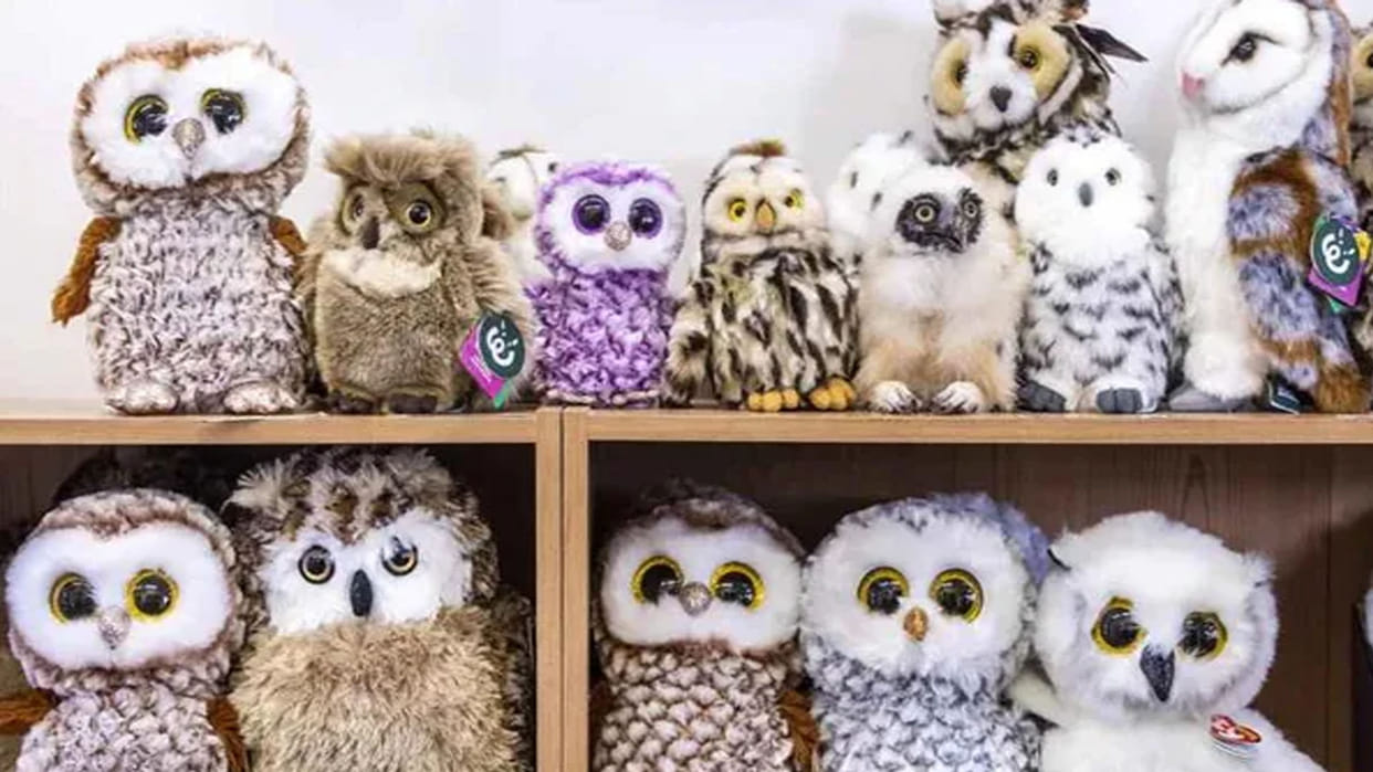 optical illusion find out the real owl in the picture challenge puzzle photo google trend
