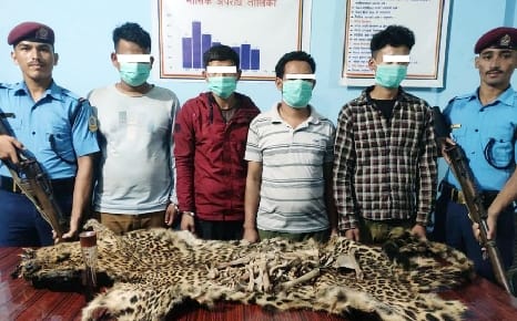 Four Nepalese arrested with Guldar's skin and bone