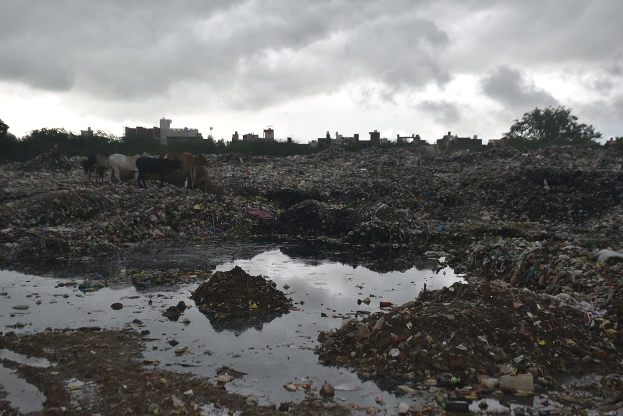 Etawah: No arrangement for garbage disposal, people troubled by the smell