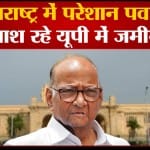 NCP