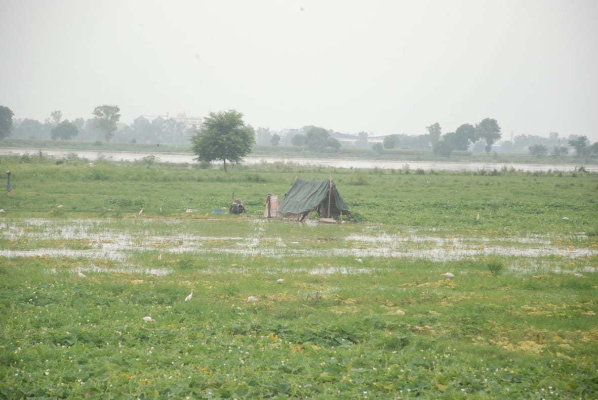 Yamuna in spate, water level reached above danger mark