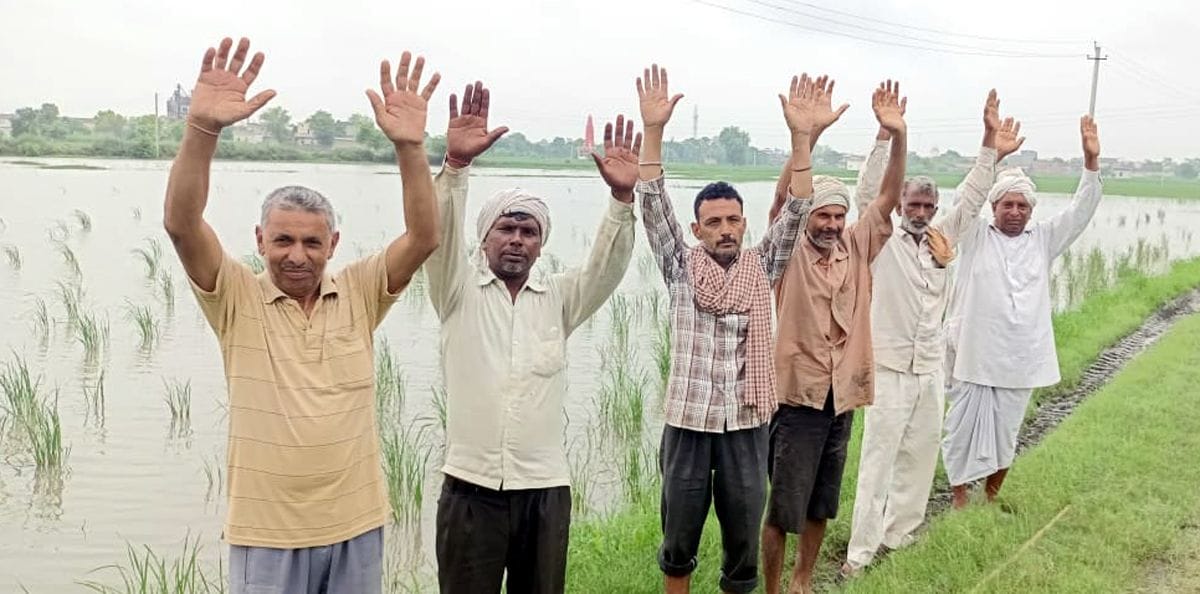25 acres of Singhpura crop submerged, no arrangement for evacuation