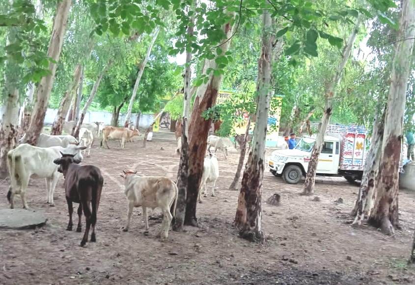 school,maveshi,kannauj,kannauj news,up news