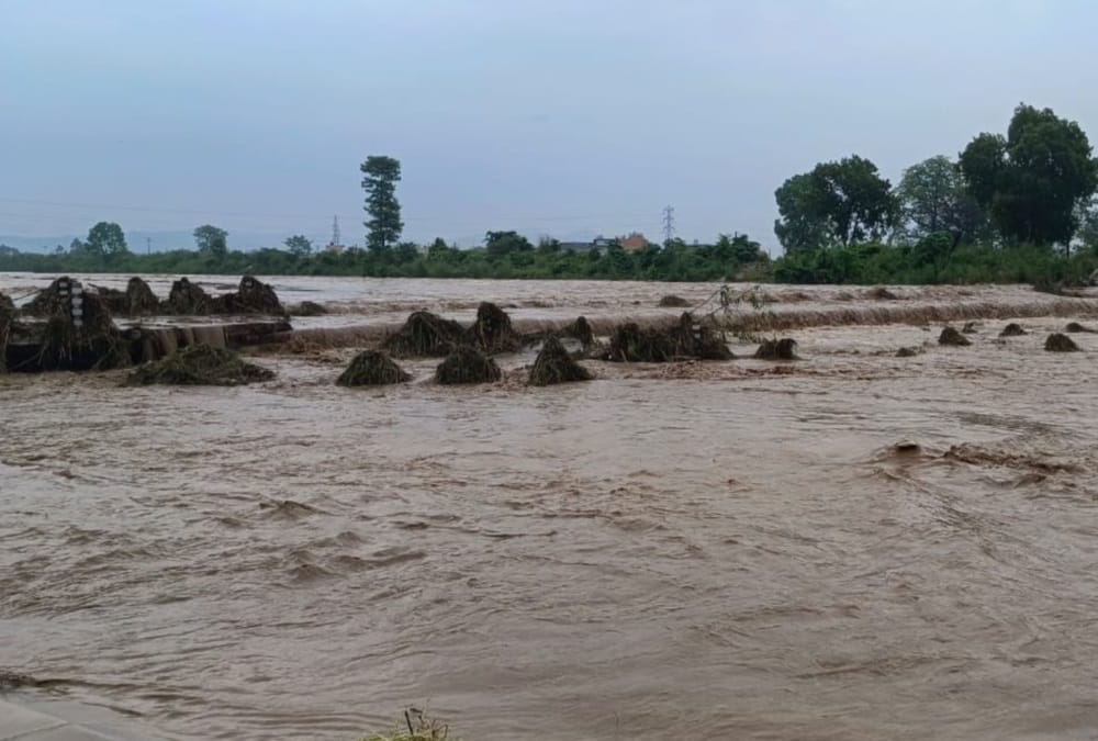 Uttarakhand rainfall weather: Five Families left house after soil erosion During River Overflow in haridwar
